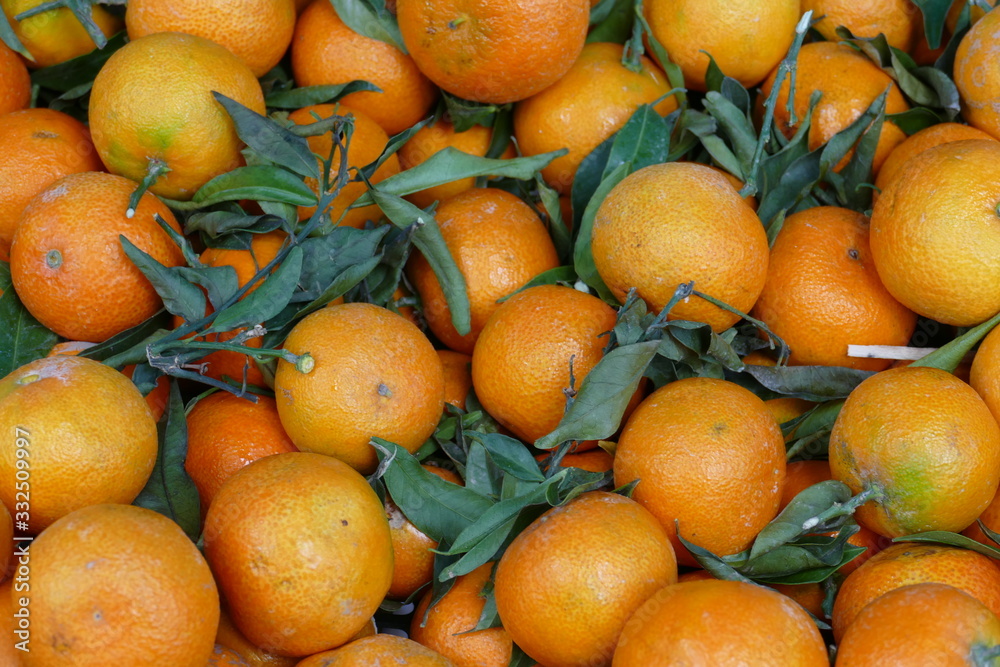 Mandarinen mit grünen Blättern