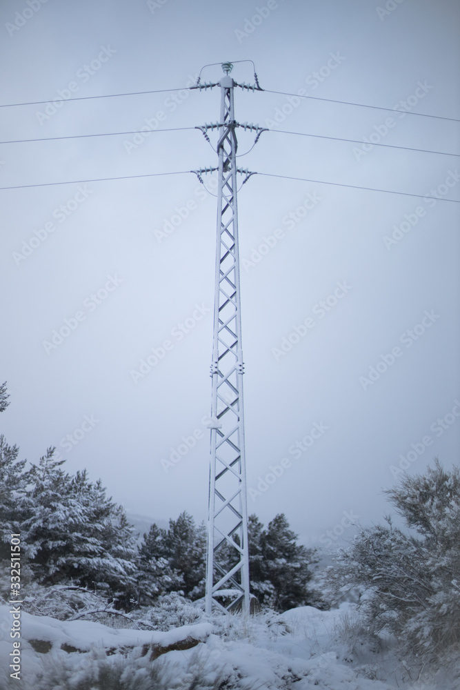 Low angle of tall metal power line support among snowy pine trees with ...