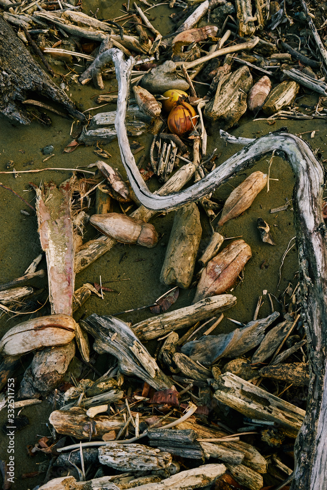 From above wooden tree branches and pieces drifted by ocean on sandy beach in Costa Rica From above wooden tree branches and pieces drifted by ocean on sandy beach in Costa Rica