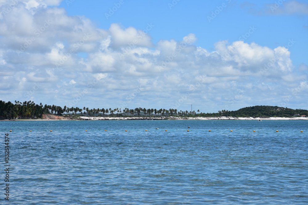 Fototapeta premium carneiros - pernambuco