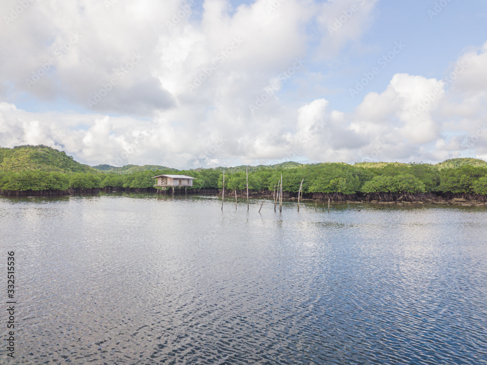 Aerial of fisherman house in mangrove forest