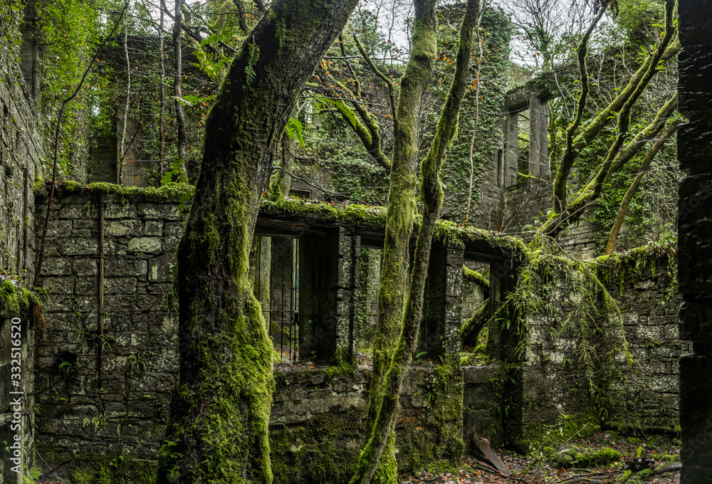 Old walls of the ruins in a green bush Old walls of the ruins in a green bush