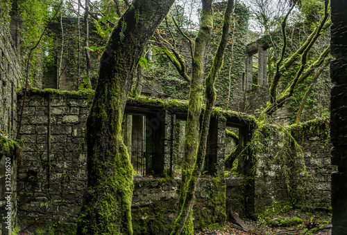 Old walls of the ruins in a green bush © Martin