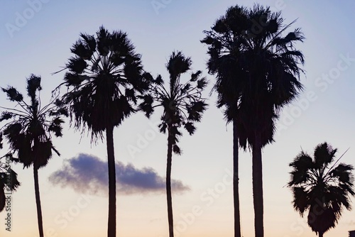 sunset un Venice Beach California