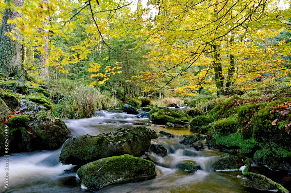 Ochsenkopf im Herbst