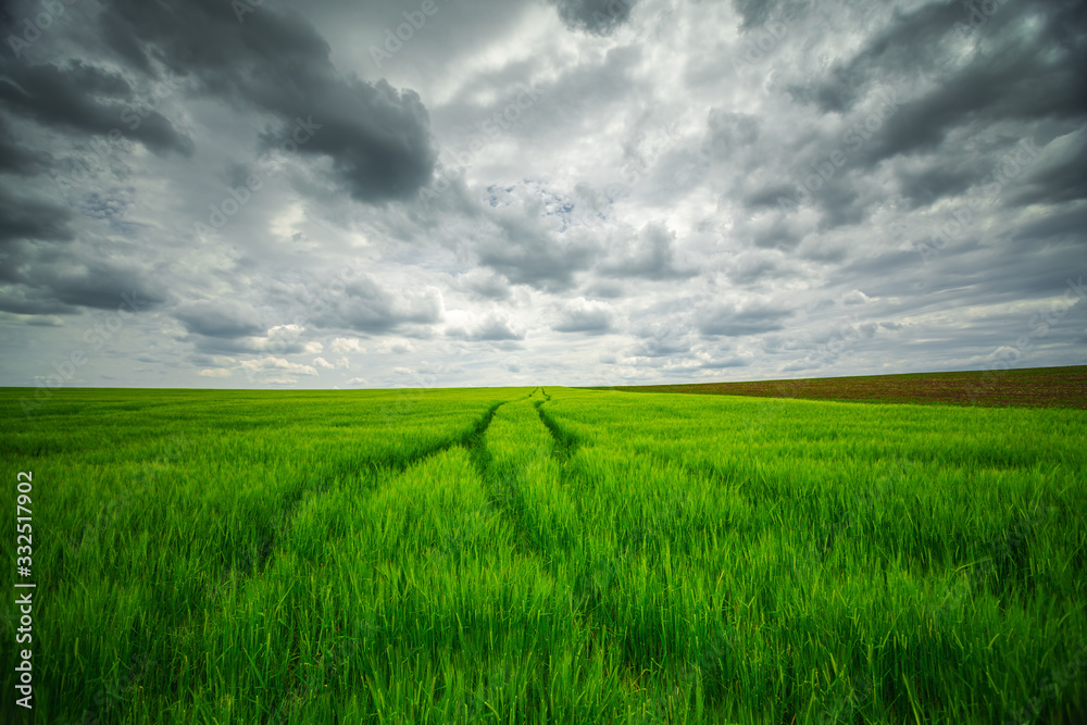 Agricultural fields and dramatic clouds