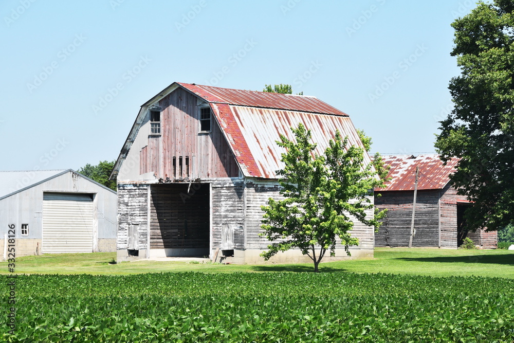 Obraz premium Old Barn and Shed