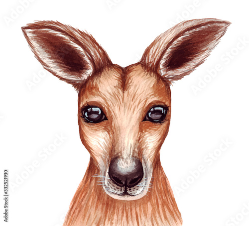 Cute lovely watercolor illustration of kangaroo face. Baby shower, nursery decor isolated on white. 