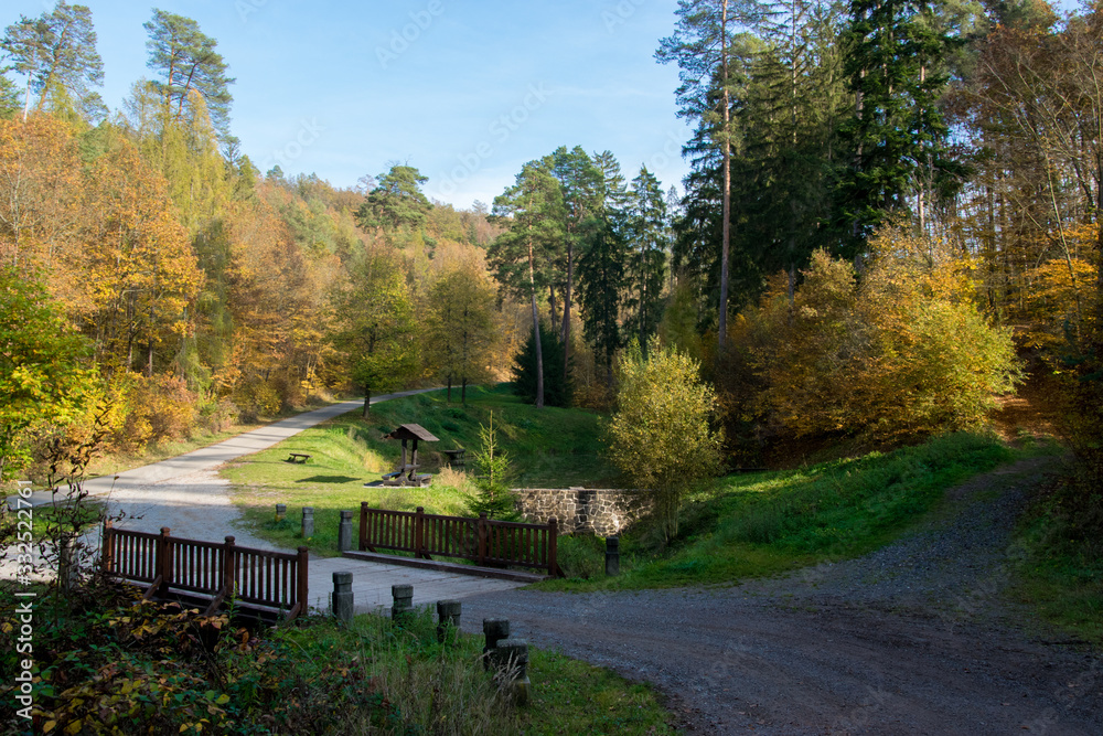 Path with wooden bridge in nature in the middle of autumn forest Path with wooden bridge in nature in the middle of autumn forest