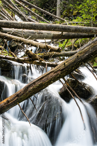 Rohac waterfall, fallen trees photo