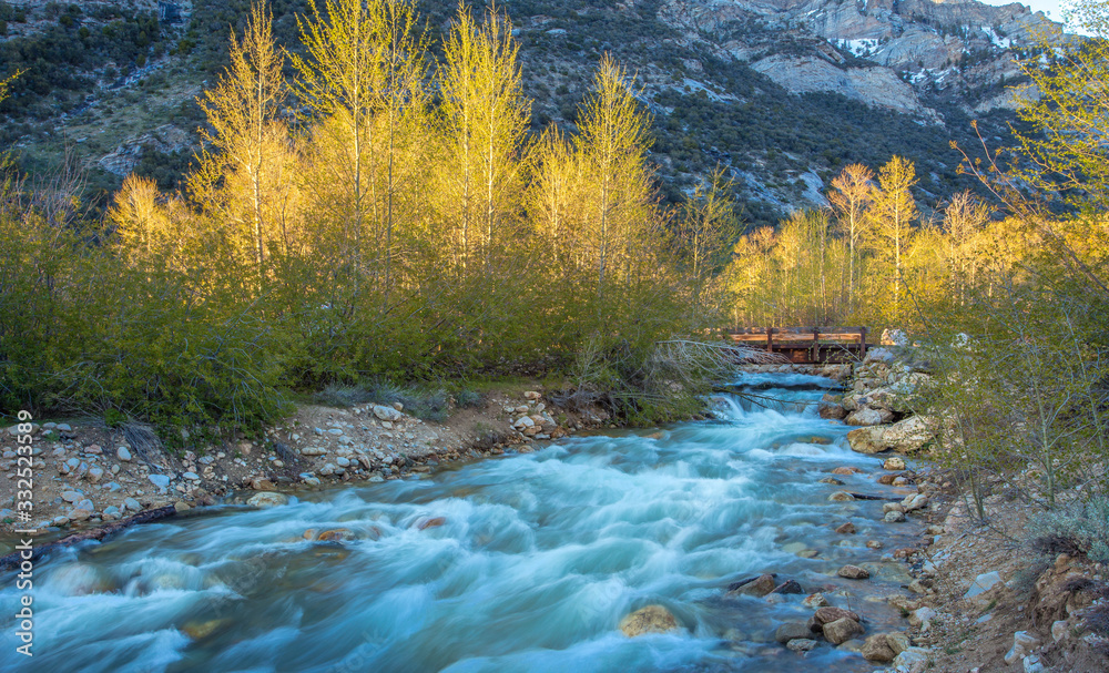 Thomas Creek in Ruby Mountains, NV Thomas Creek in Ruby Mountains, NV