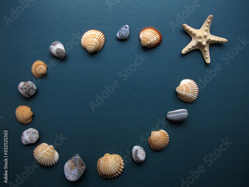 The oval frame made of sea shells, pebbles and starfish on green background. Summer flat lay. Travel and vacation concept. Top view with copy space for your text