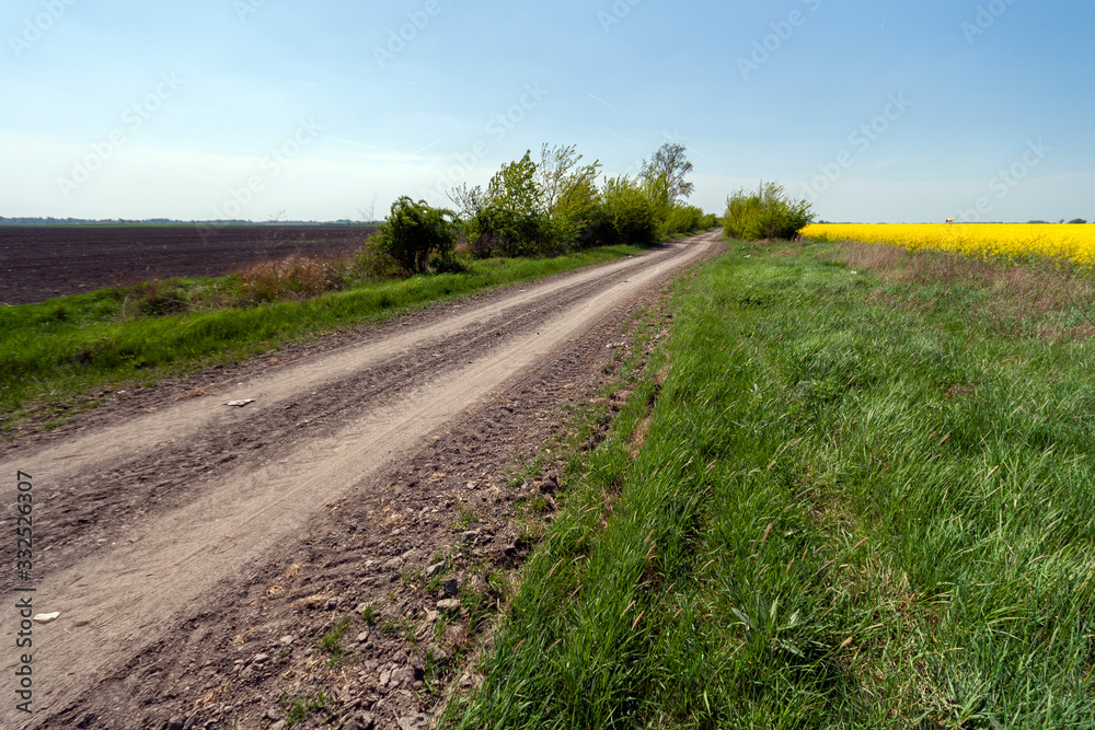 Dirt road in the great hungarian plain