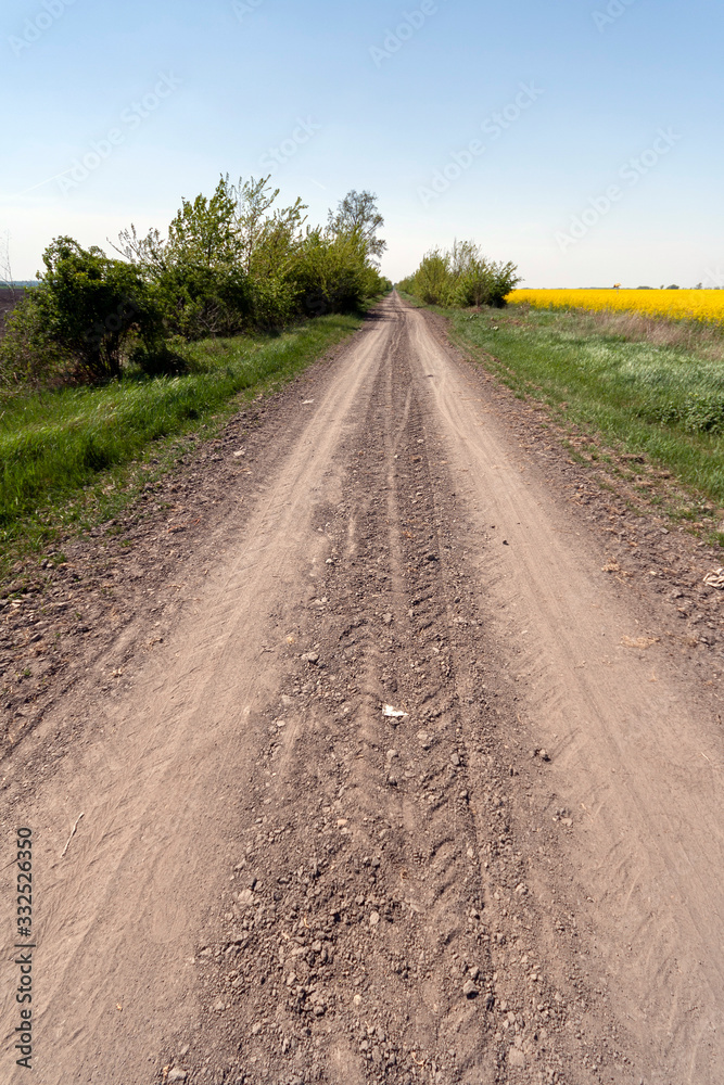 Naklejka premium Dirt road in the great hungarian plain