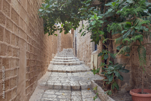 Fototapeta Naklejka Na Ścianę i Meble -  Narrow Alley with Trees in Old Jaffa, Israel
