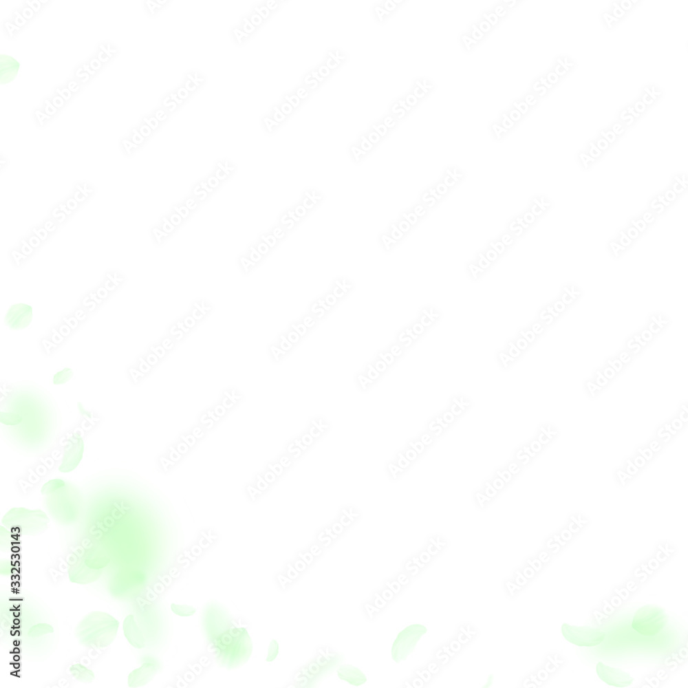 Green flower petals falling down. Comely romantic Green flower petals falling down. Comely romantic