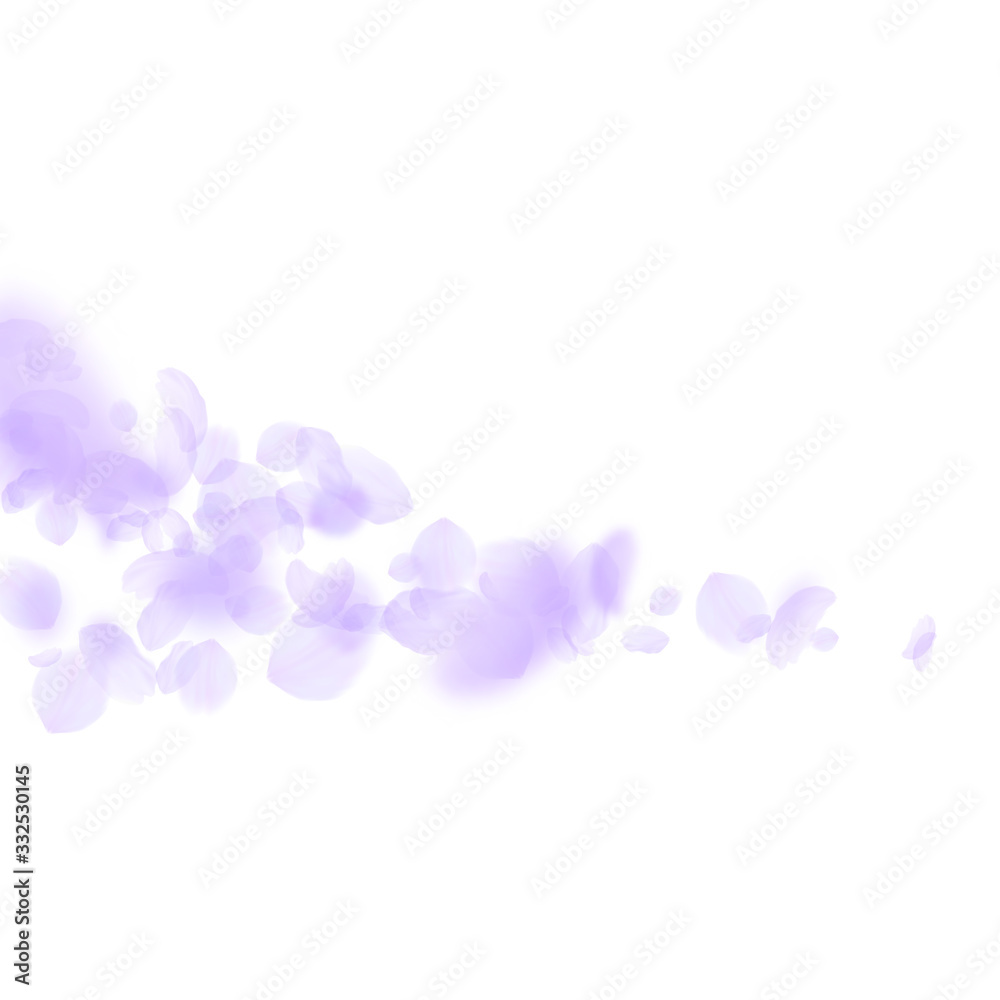 Violet flower petals falling down. Unique romantic Violet flower petals falling down. Unique romantic