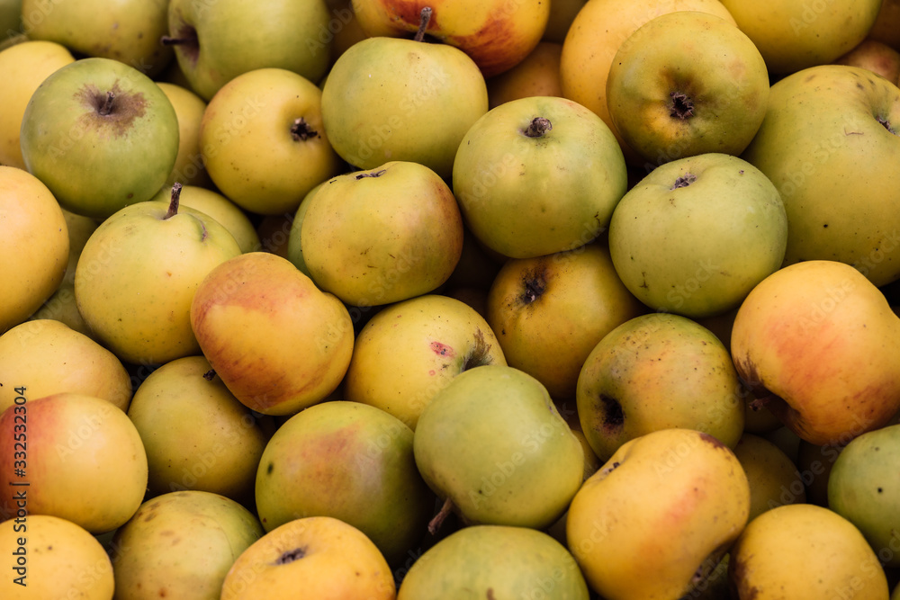 Close up of ripe raw golden apples