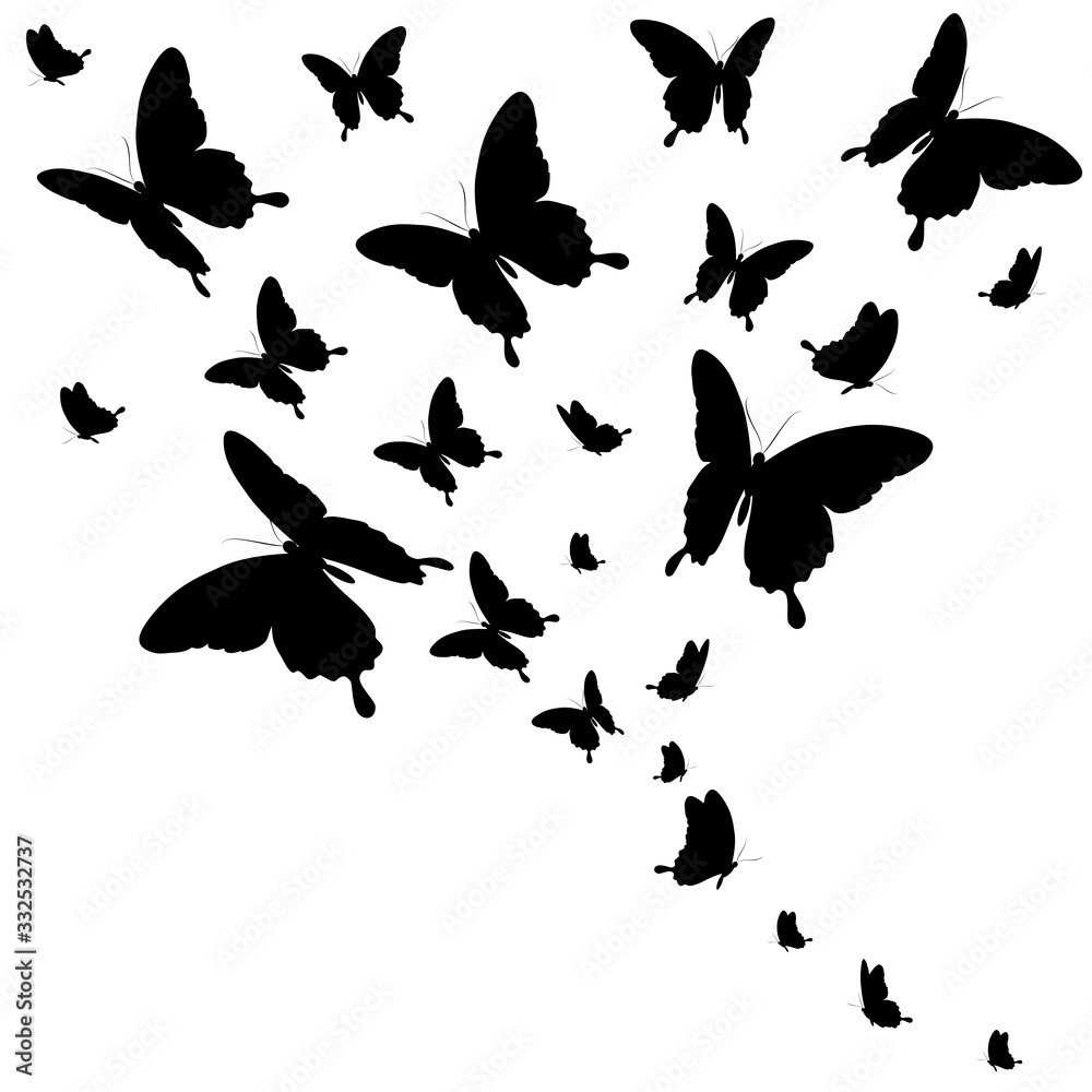 Obraz premium butterfly473