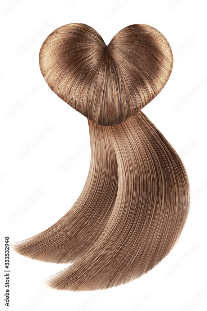 Hair heart on white, isolated. Brown doughnut bun Hair heart on white, isolated. Brown doughnut bun