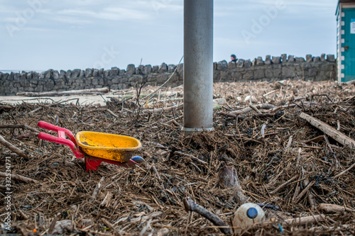 Tree debris on the beach after storm. Weston-Super-Mare beach after a storm photo