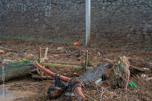 Tree debris on the beach after storm. Weston-Super-Mare beach after a storm photo