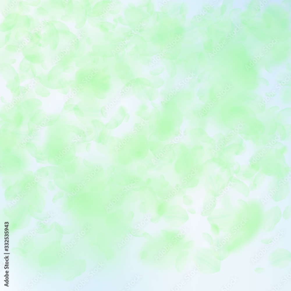 Green flower petals falling down. Fresh romantic f Green flower petals falling down. Fresh romantic f