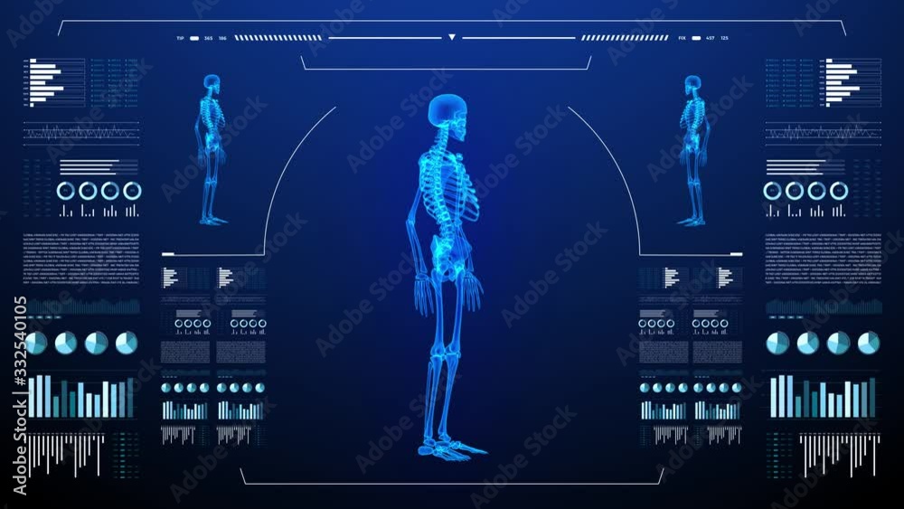 Human body skeleton study on diagnostic computer display.