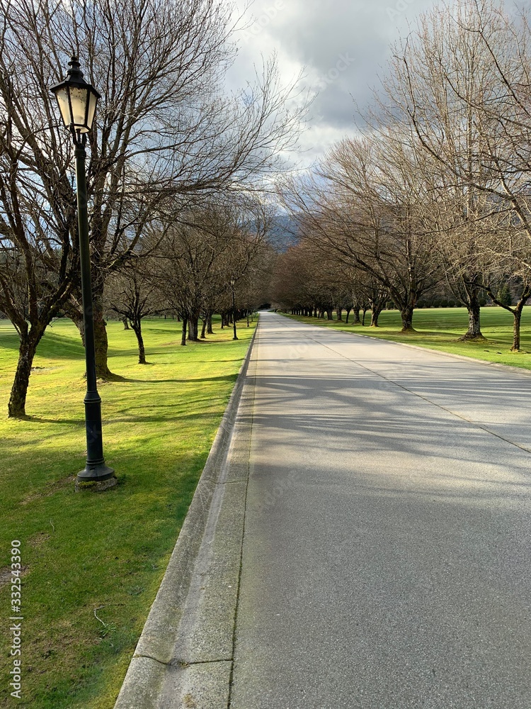 Fototapeta premium Golf Course with long driveway and some mountains