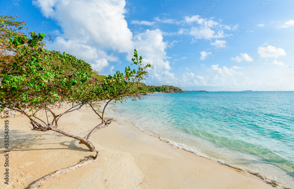 View of beautiful tropical landscape with tree on beach sea island with ocean blue sky background in Thailand summer beach vacation - Sea waves on sand beach water and coast seascape