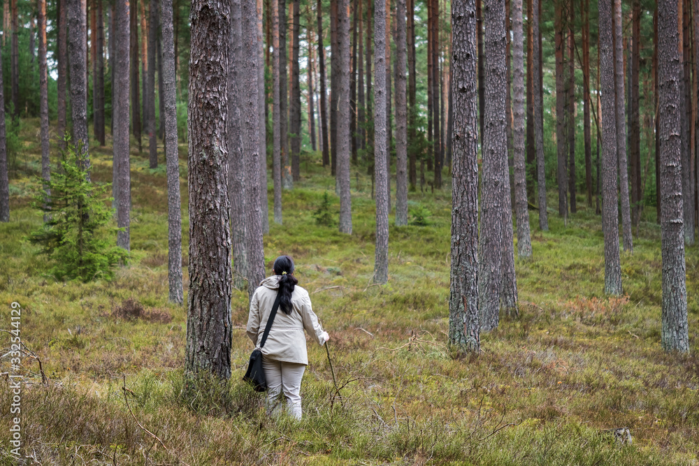 A woman under a tree in the forest A woman under a tree in the forest
