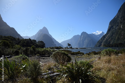 Milford Sounds in New Zealand