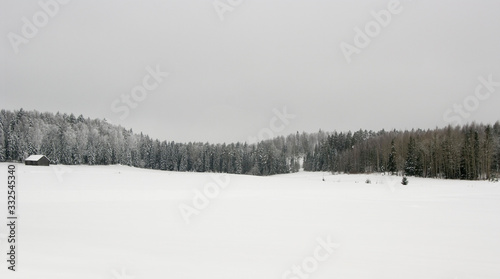winter landscape with trees and snow © Markus Kauppinen