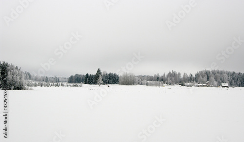 winter landscape with fog and trees © Markus Kauppinen