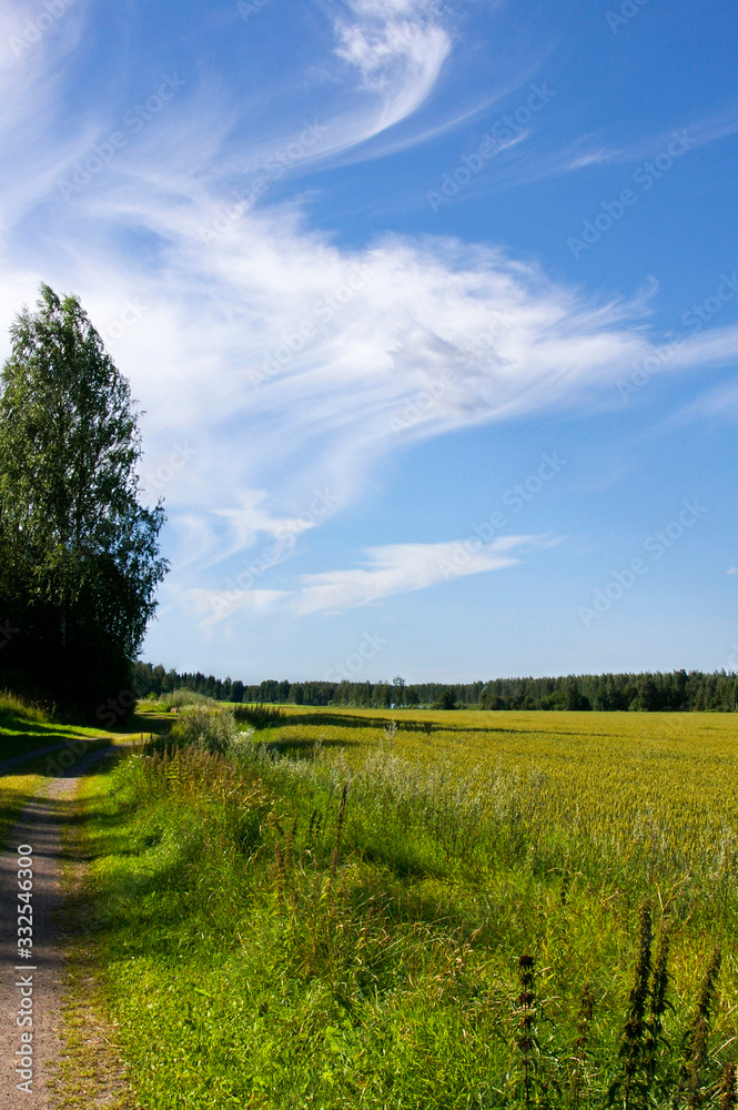 Fototapeta premium countryside