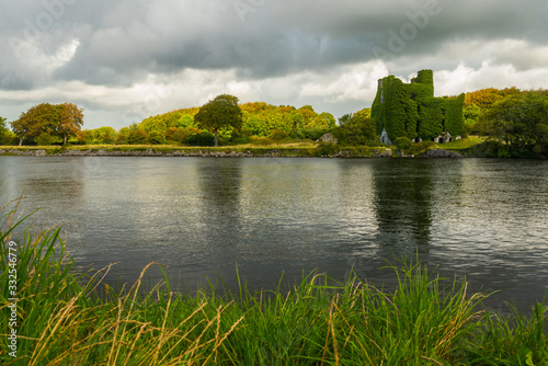 Tree from Menlo castle in Galway Ireland photo