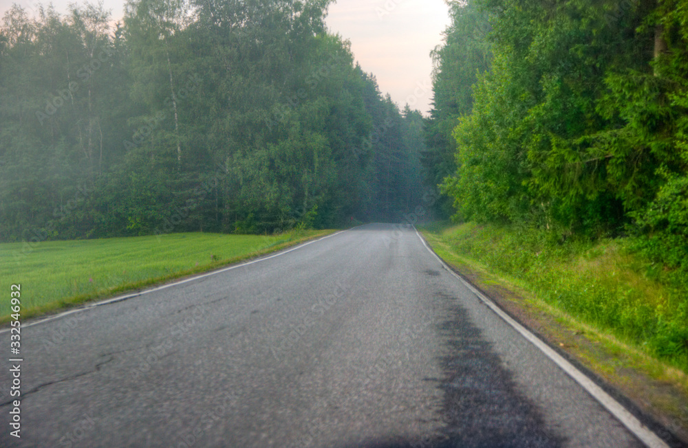 road in the forest road in the forest