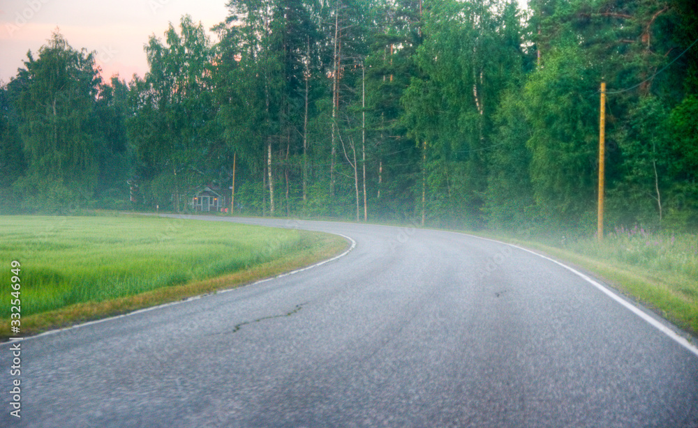 Obraz premium road in the forest