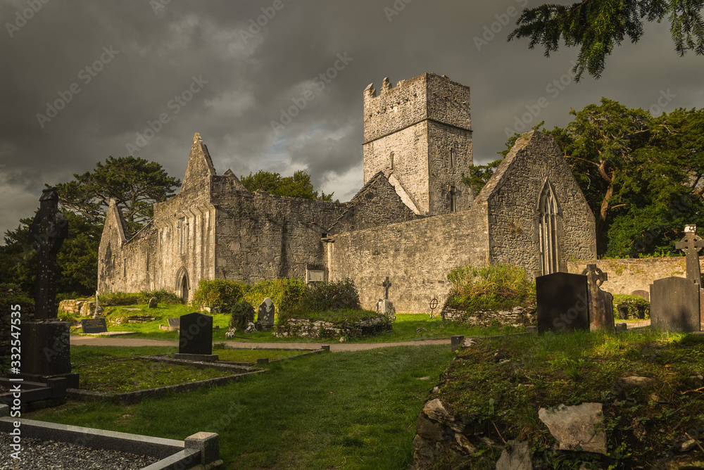 Muckross abbey in beautiful Ireland - obrazy, fototapety, plakaty 