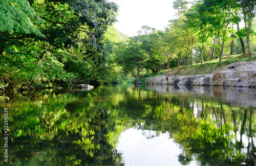 Lake Reflection Photographs in Green Forest 