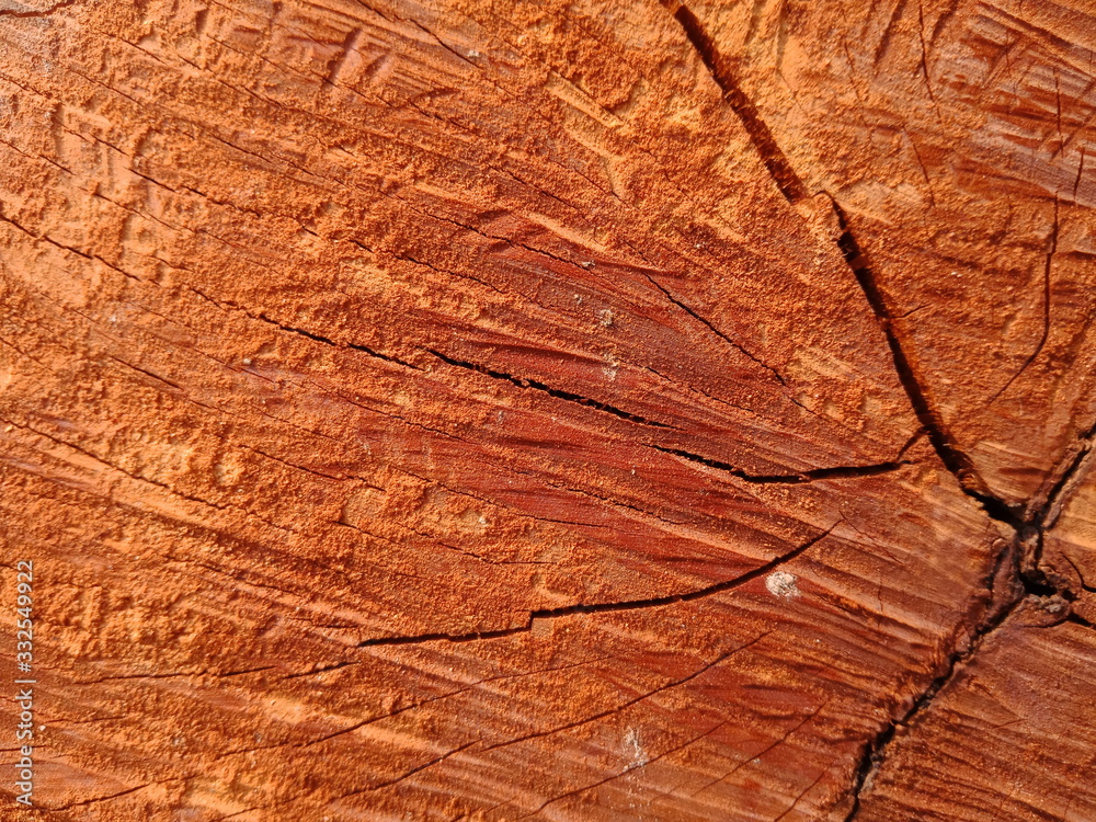 Fototapeta premium texture of wood