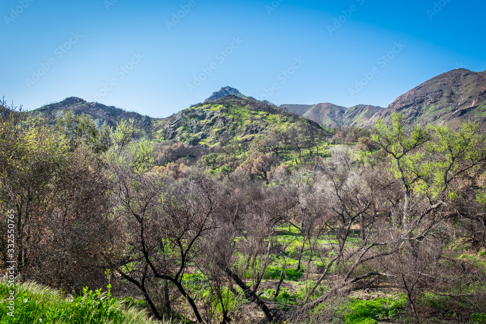 Malibu Creek State Park in the Santa Monica Mountains in spring 2019