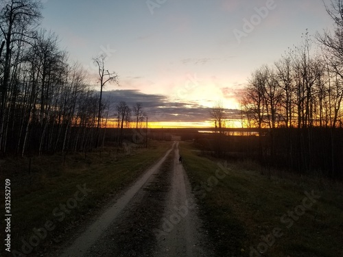 Morning sunlight  country road