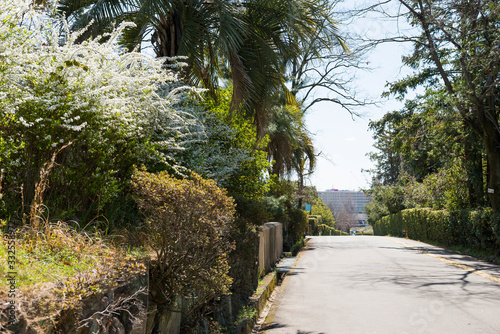 千里北公園