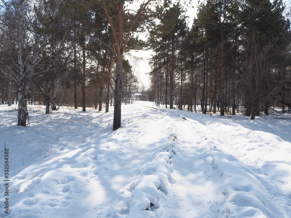 narrow gauge railway leaving for the winter forest narrow gauge railway leaving for the winter forest