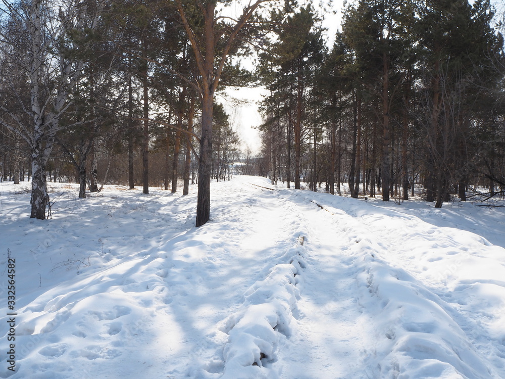 narrow gauge railway leaving for the winter forest