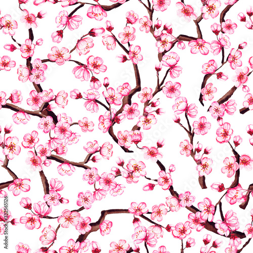 Watercolor floral sakura seamless pattern. Spring cherry blossom background  isolated on white.