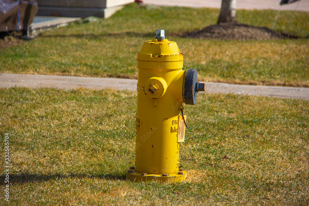 Yellow fire hydrant