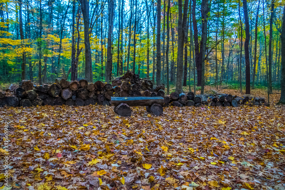 Obraz premium Log Bench - Fall in Vermont