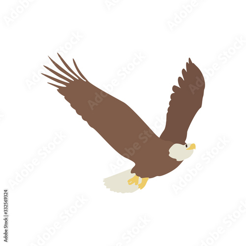 eagle icon vector illustration. Cartoon style bird, isolated on a white background